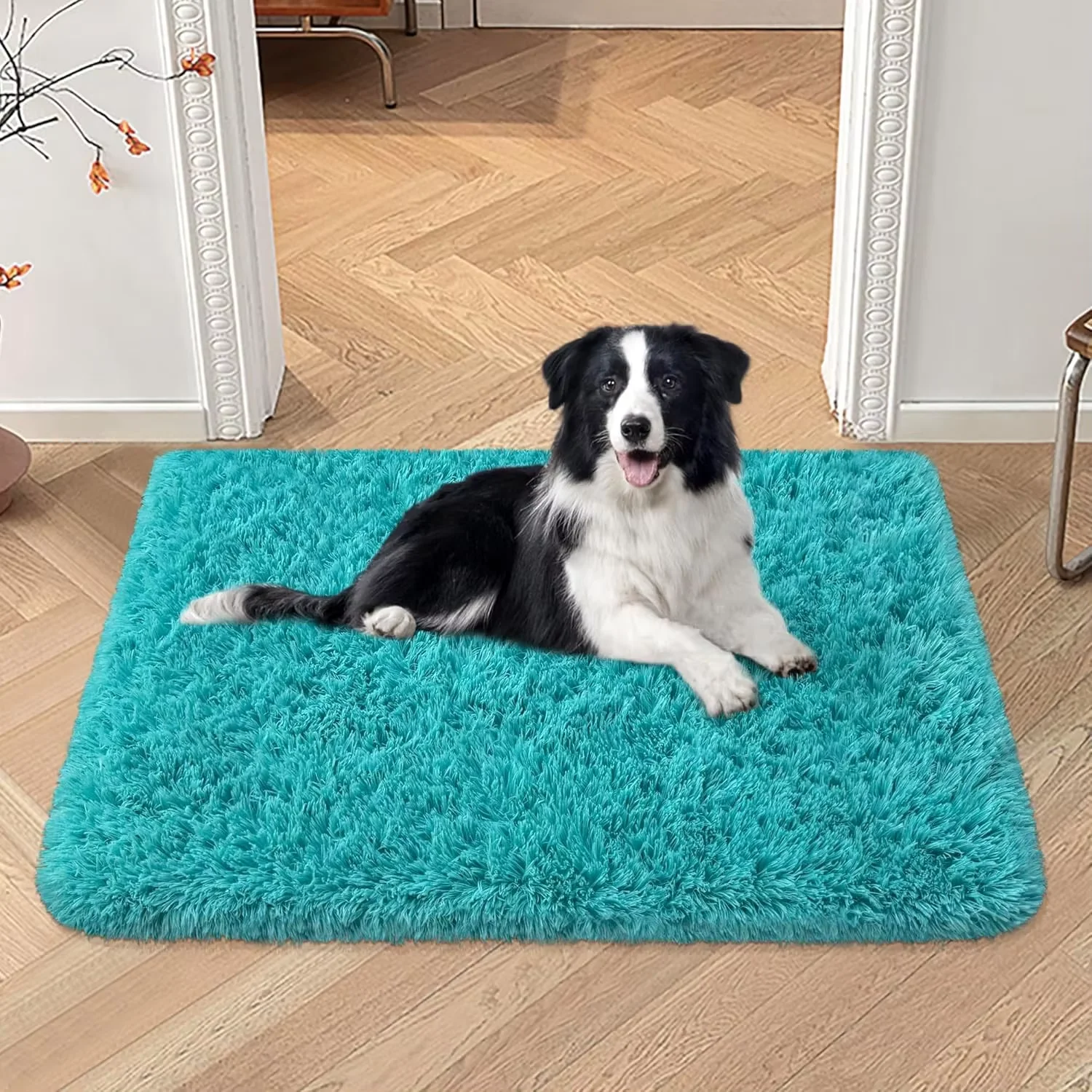Karpet Sutra Dan Wol VIKAMA Le - Pet Supplies Dog Wash ulasan dan harga