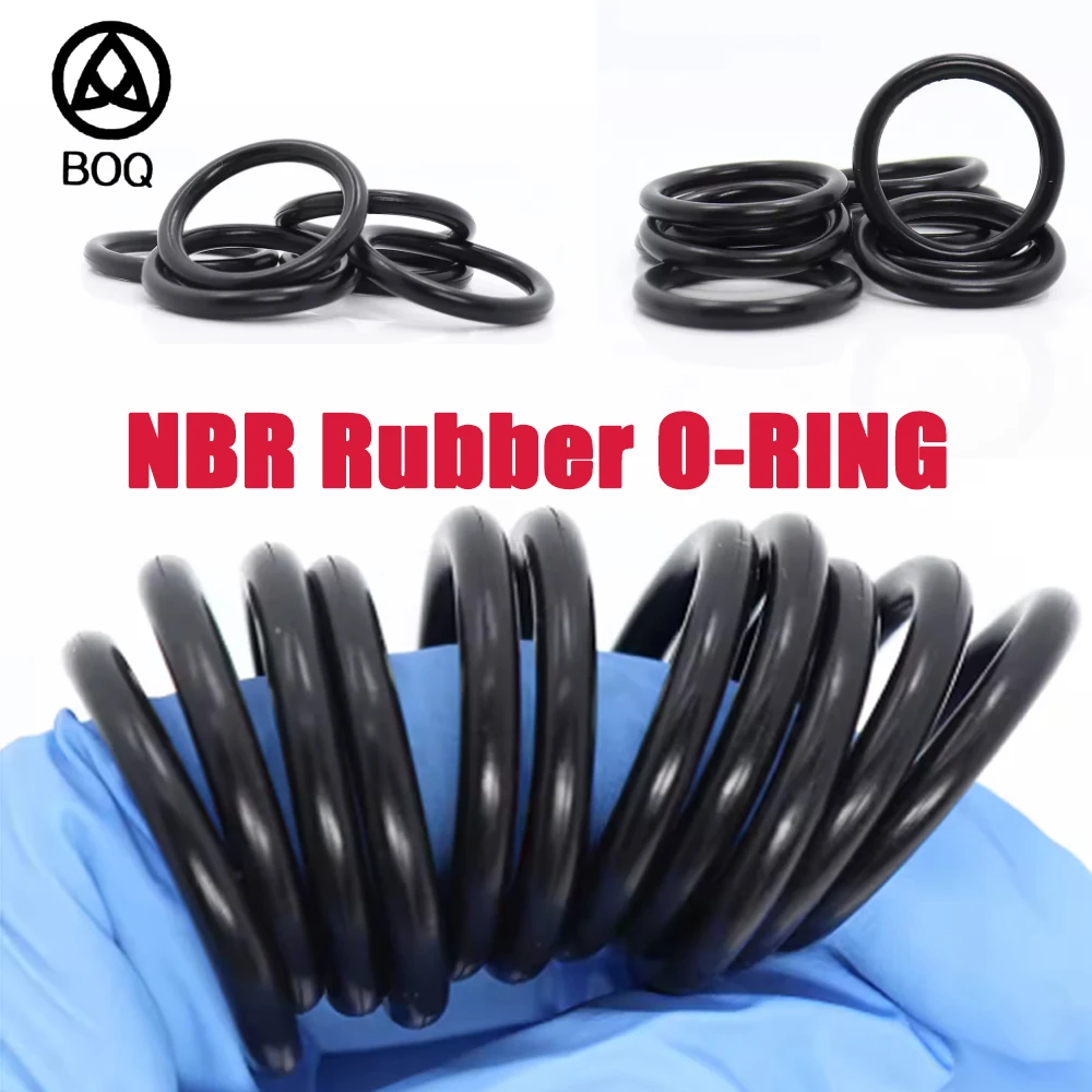 CS1.9 Nbr Rubber O …