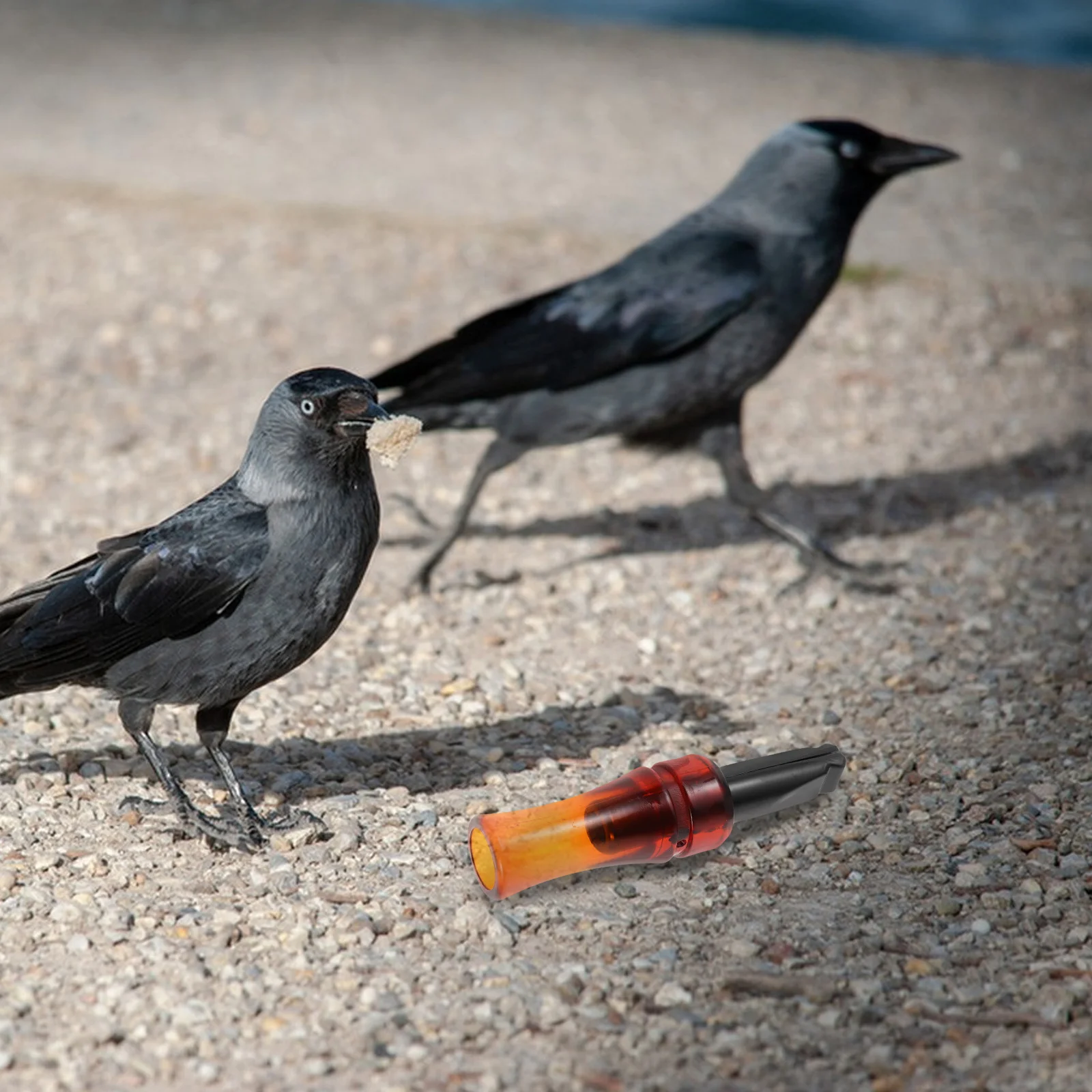 

Crow Call Whistle Realistic Simulation Sound Portable Plastic Crow Attractor Outdoor Wildlife Research Tool - Hunting