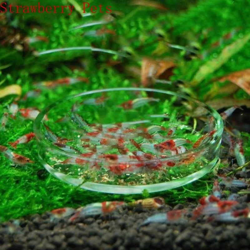 Transparent Aquarium Fish Tank Shrimp Food Feeding Circle Glass Feeder Floating Bottom Feeder Fish Shrimp