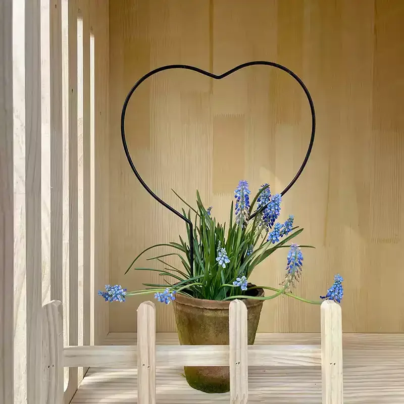 JMZ Heart Shaped Iron Plant Trellis  Metal Climbing Vine Frame for Indoor Home Garden Decor & Clematis Support