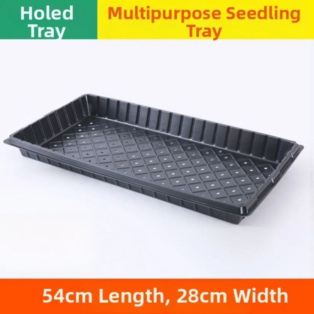 2pcs 54*28cm Seeding Nursery Tray with Holes Succulent Growing Plate Flower Plant Seed Starting Hydroponic Vegetable Tray Garden