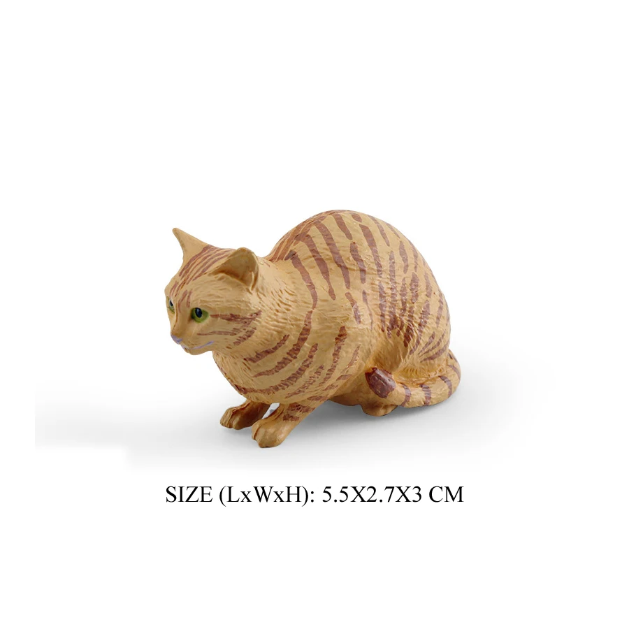 Cat -6