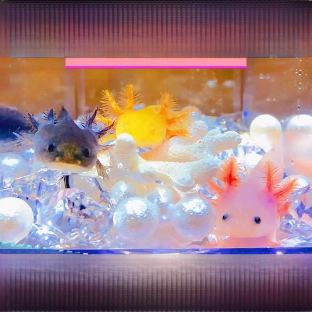 Easy To Keep Hexago…