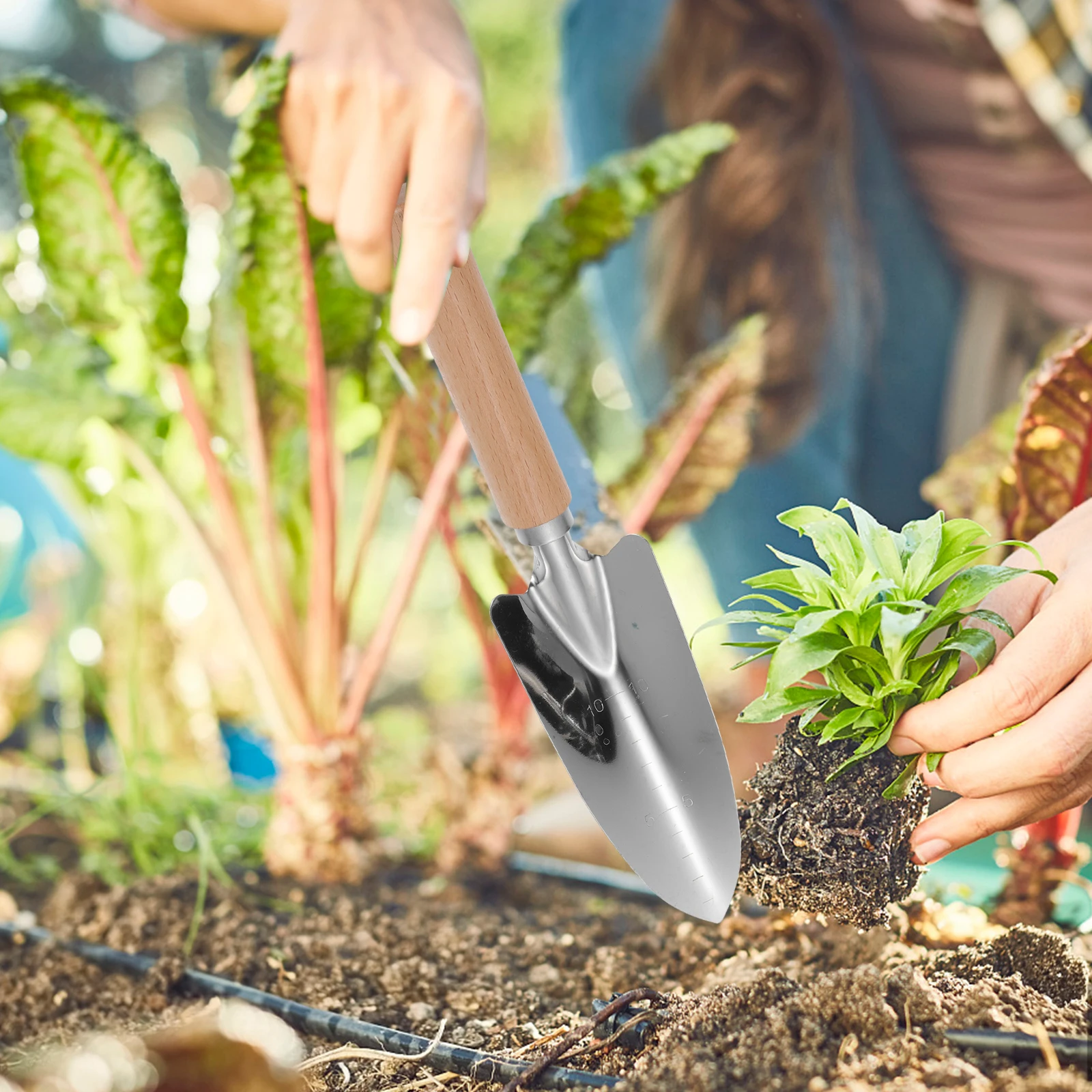 

2Pcs Garden Shovel Wooden Handle Stainless Steel Hand Trowel Portable Planting Tool for Weeding Transplanting Soil Aeration