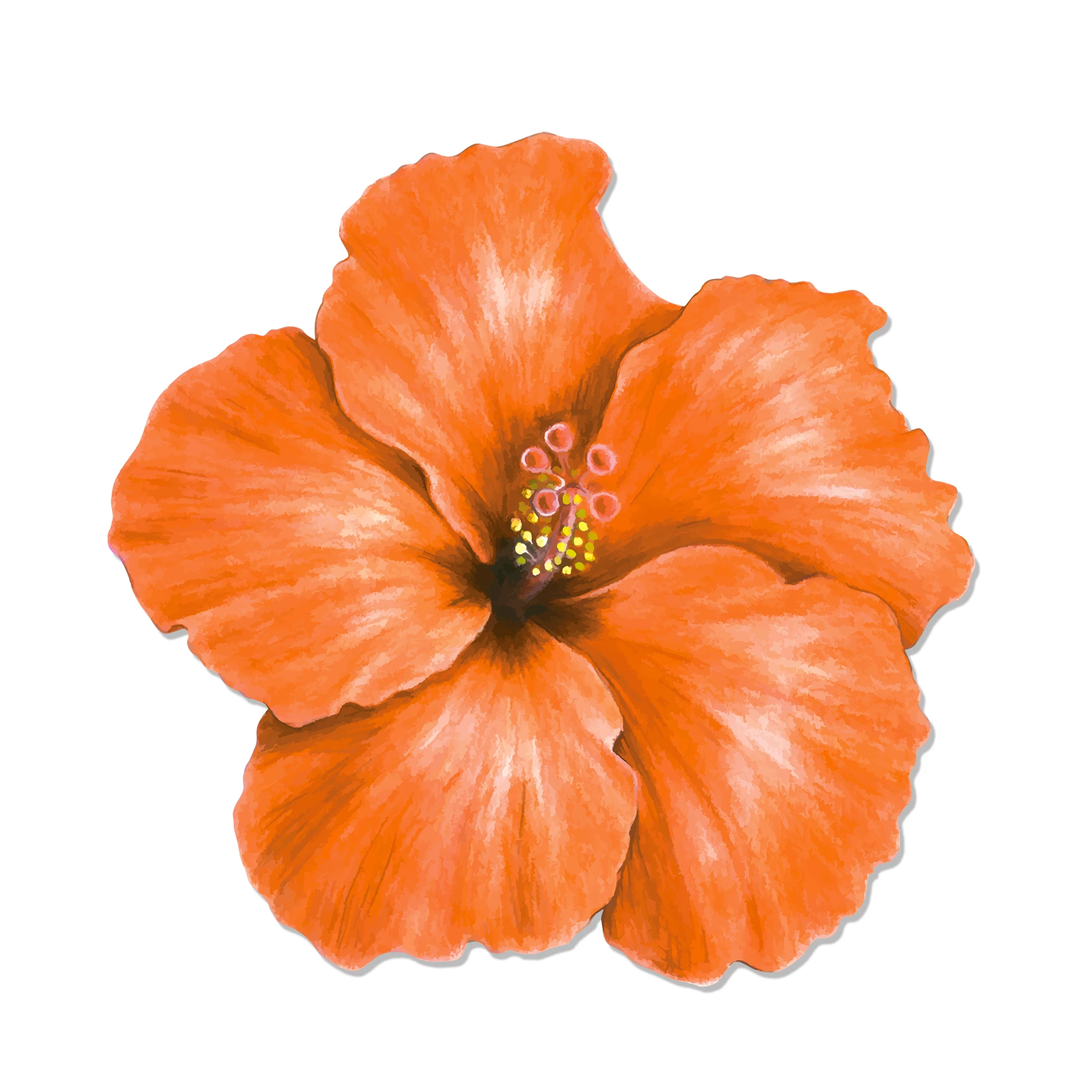 Hawaiianisches Thema, Partygeschenke, Brillen, lustige Sonnenbrille, Requisite, Essen, Tablett, hawaiianische Blumen, Tischset, Strand, Sommerparty-Dekorationen – Detail 12