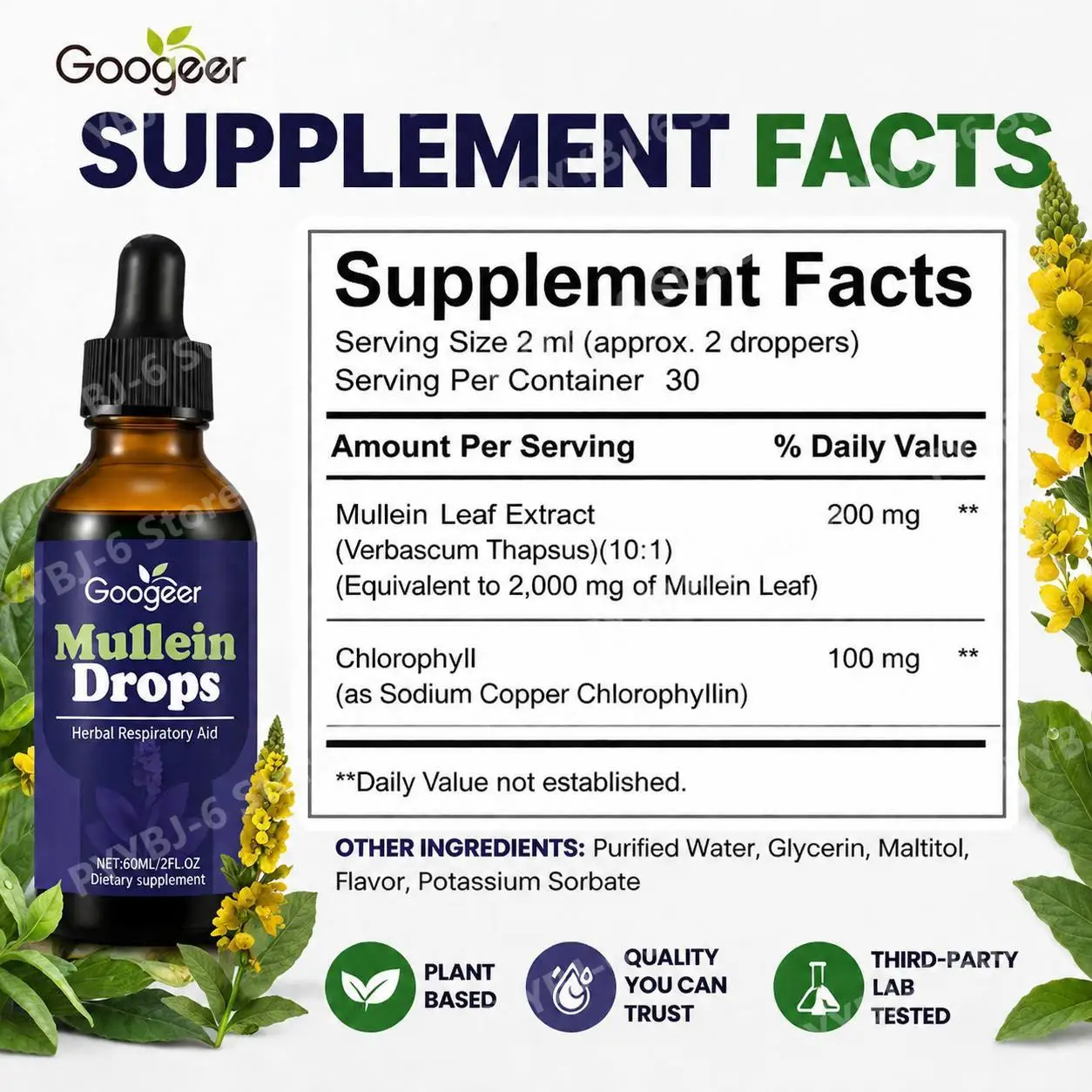 Googeer Mullein Leaf Extract Drops with Sodium Copper Chlorophyllin for Respiratory Support and Antioxidant Protection 60 ML