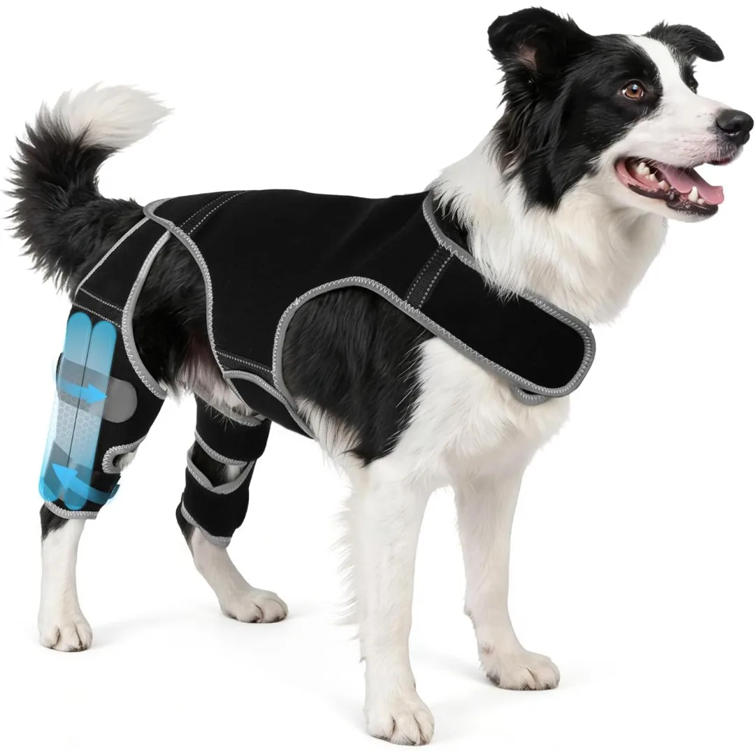 Heavy-duty Dog Braces for Torn ACL Hind Leg, Adjustable Dog Knee Brace with Stabilizers,Puppy Ligament& Hip Dysplasia Recovery