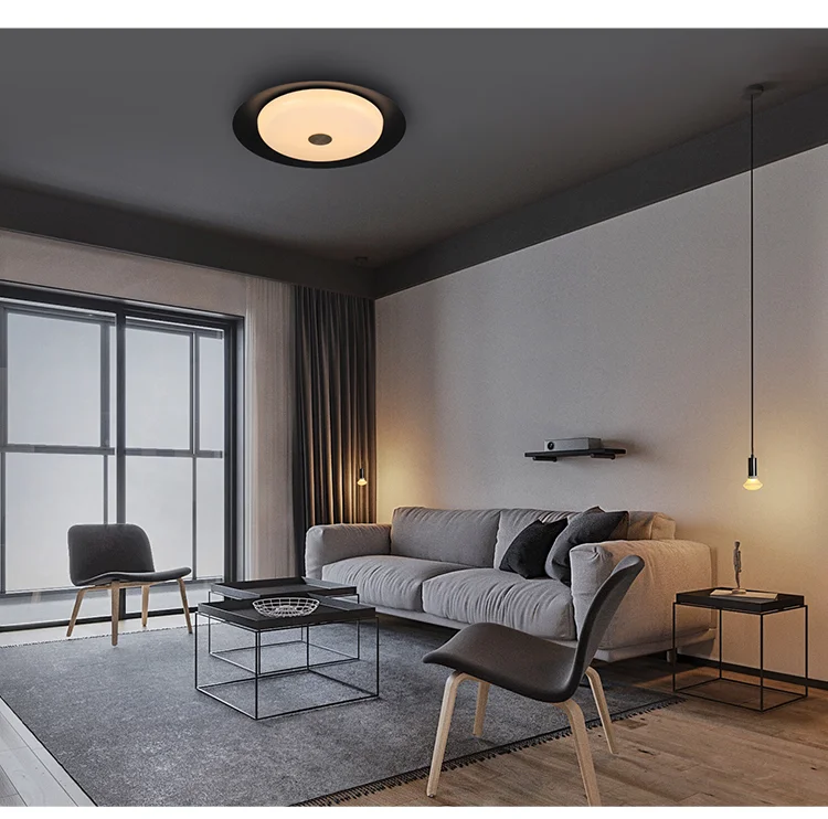 Aisilan Modern Ultra-thin Silicone Lampshades LED Ceiling Light Dustproof  Ceiling Lamps for Living Room Bedroom Dining Room