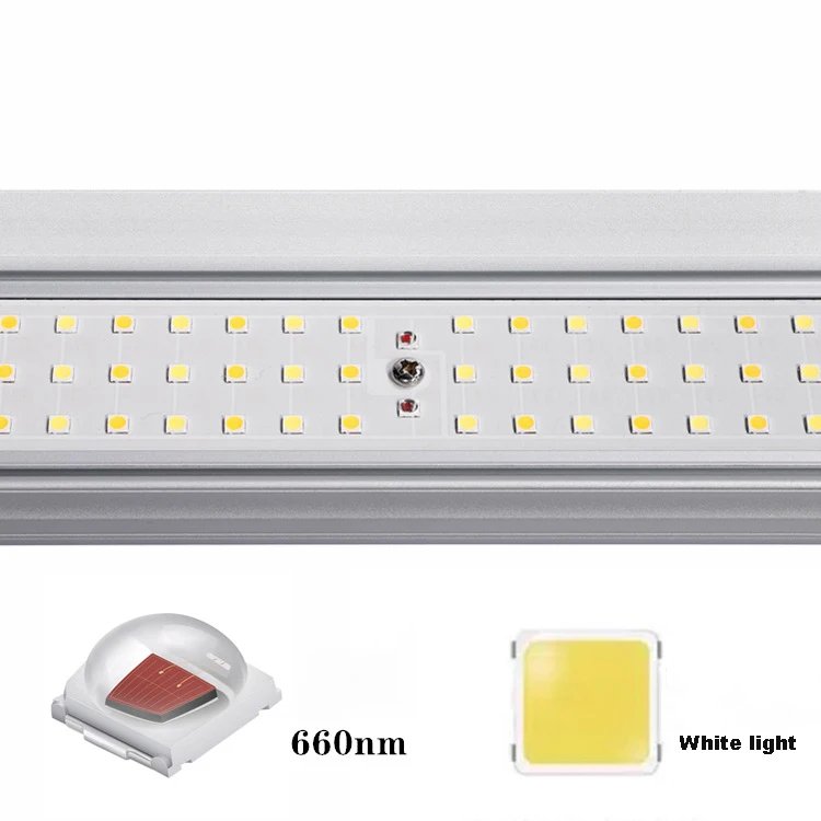 281B 301H Full Spectrum LED Plant Growth Light 600W 720W Aluminum for Greenhouse Cultivation Emitted Colors Red White