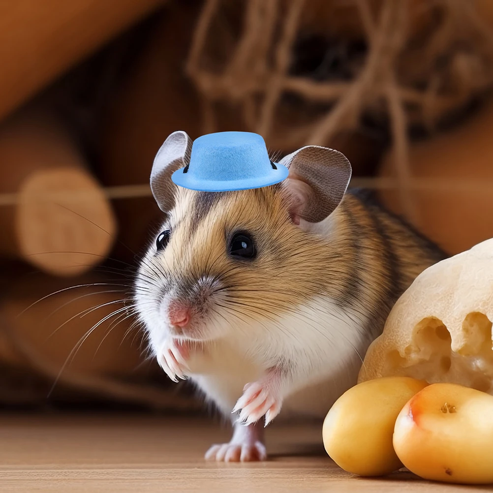 

2 Sets Pet Suit Hamster Holiday Hats Costume Accessories for Rabbits Ears Bunny Dress-up Polyester Chinchilla