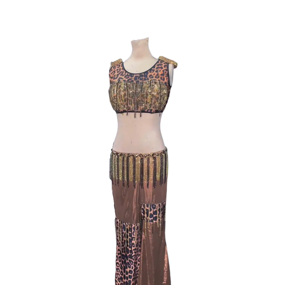 Belly Dancer, Adult And Children's High-End Customized Sexy Leopard Print Pants, Black Pool AB Stone Practice Clothes, Dress