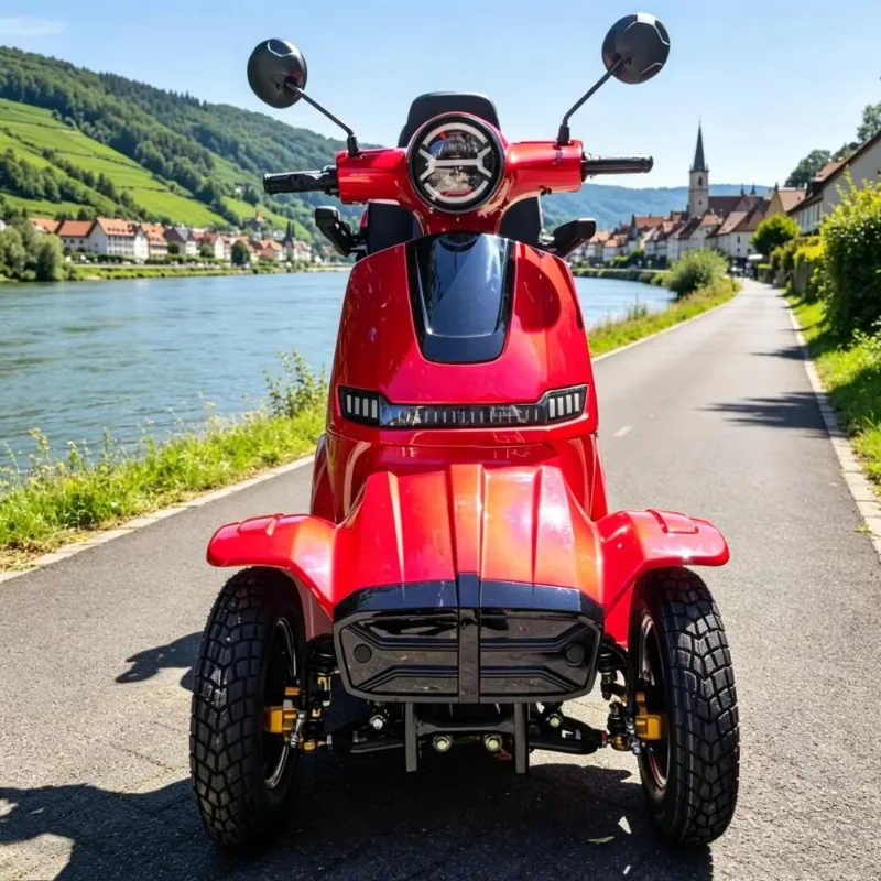Powerful 1000W 60V Outdoor 4 Wheels Leisure Elderly Mobility Scooter 60km Long Distance Travel Heavy Loading