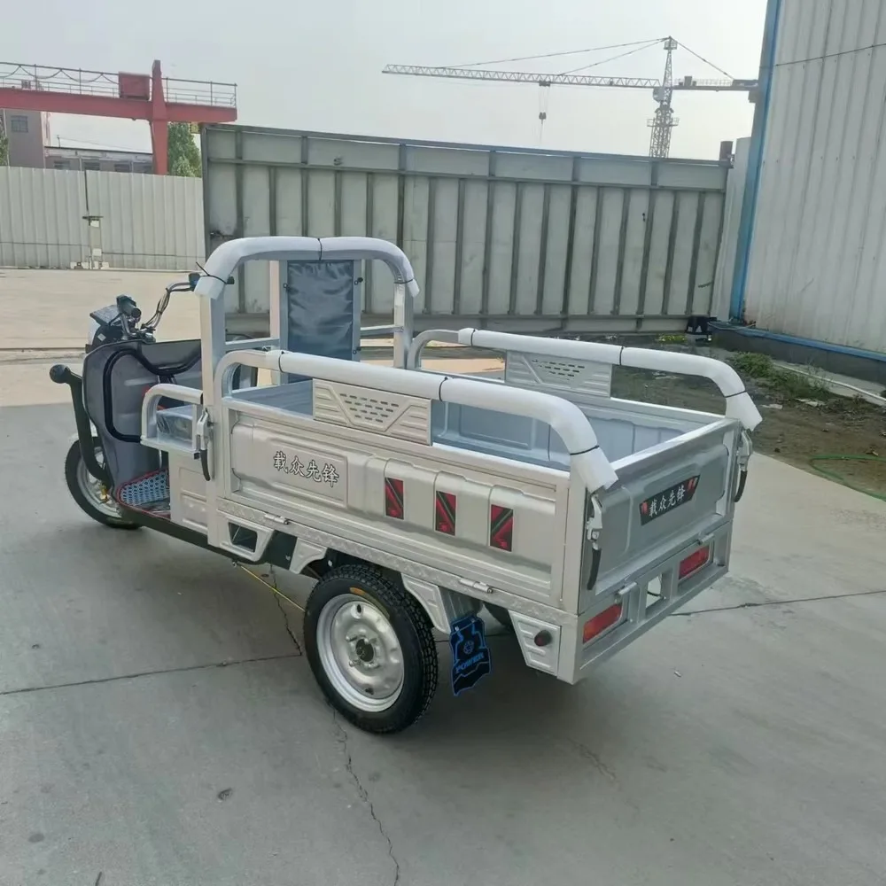 Electric Cargo Tricycle 1000W Motor, Adult 3-Wheel Electric Bike for Delivery, Heavy-Duty Electric Trike with Large