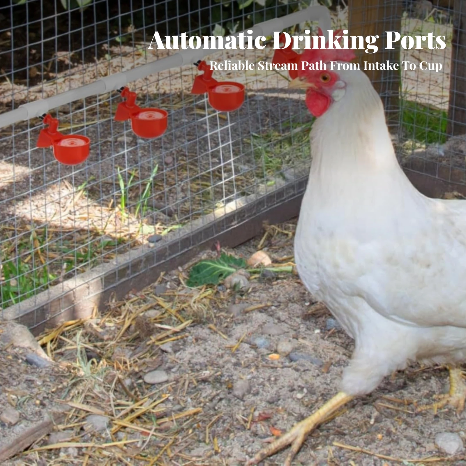 DIY Poultry Waterer Kit Easy Installation Poultry Watering System Water Cup with Tee Fitting Self-Filling