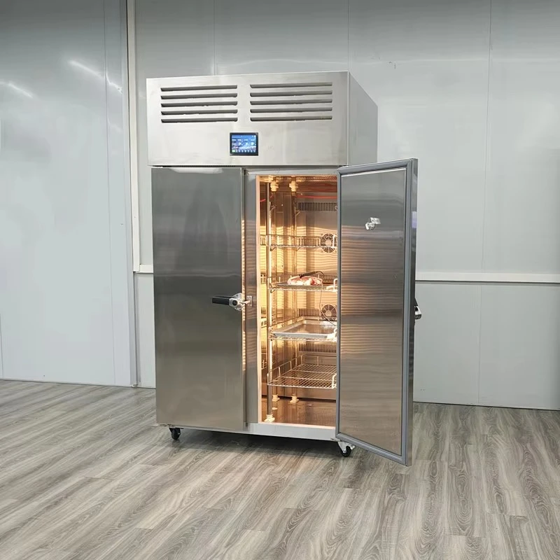 Ultrasonic Double-Door Freezing Equipment Thawing Cabinet Humidity Controlled Thawing Cabinet Frozen Food Thawing Machine Custom