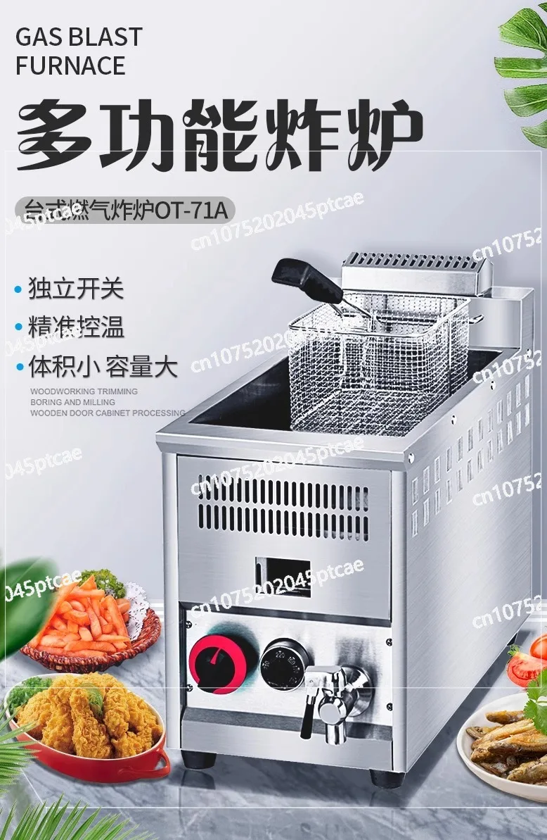 Automatic Gas Temperature Control Fryer Commercial Stall French Fries Fryer