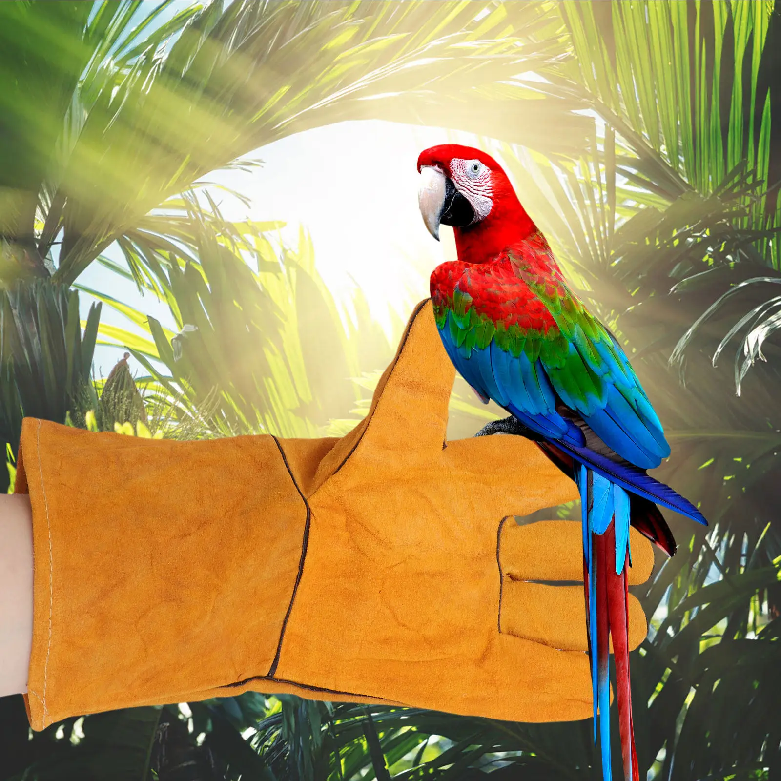 

1Pcs Protective Anti-Bite Gloves Durable Pet Training Gloves for Parrot Hand Protective Cover Feeding Accessory