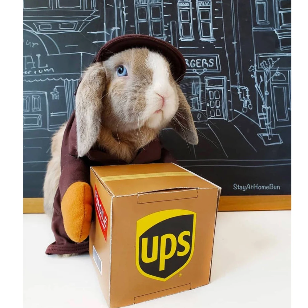 FLTOTURE 2023 Professional Classical Custom Made Ballet Tutu Costumes DHL FEDEX UPS Extra Shipping Fee