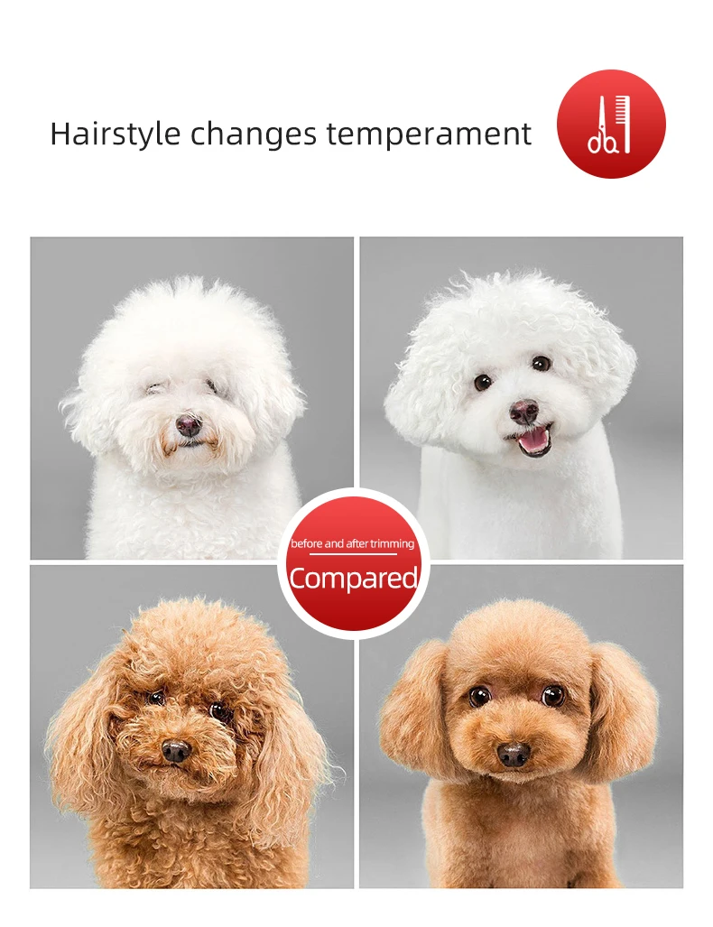 Sakura Dance Professionelles Tierpflege-Scherenset für Hunde - Hochwertige Japanische 440C Professionelle Spezialscheren – Detail 11