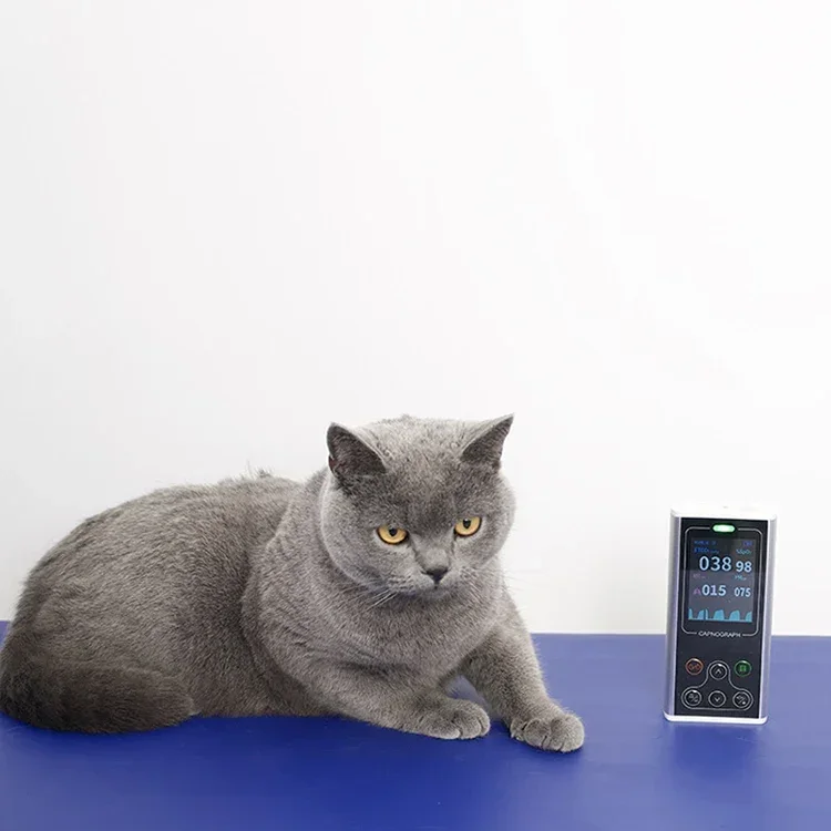 

Professional Portable Carbon Dioxide Veterinary Device for Pet Respiration Detection