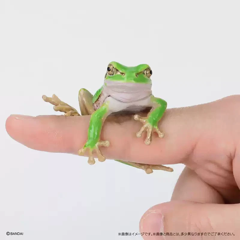 BANDAI Original Toy Ikemono Taisyou ADVANCE Rhacophoridae Gacha Gashapon Anime Action Model Figures Collection