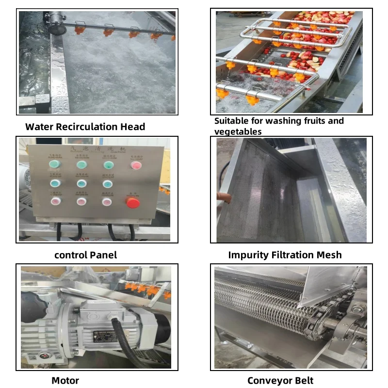 High Output Ozone Bubble Washer 3 6m for Lettuce Potato Fruit Vegetable High Pressure Flowing Water Cleaning Machine Custom