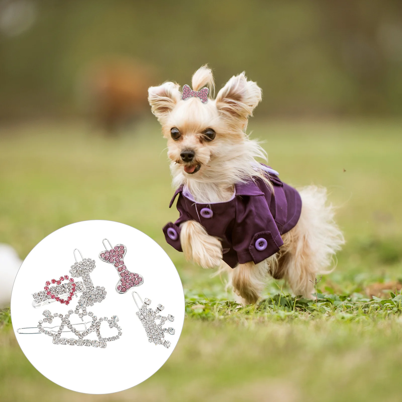 

5Pcs Pet Dog Hair Accessories Decorative Hair Clips Simple Headdress Cute Puppy Hairpins Suitable for Daily Use Outdoor