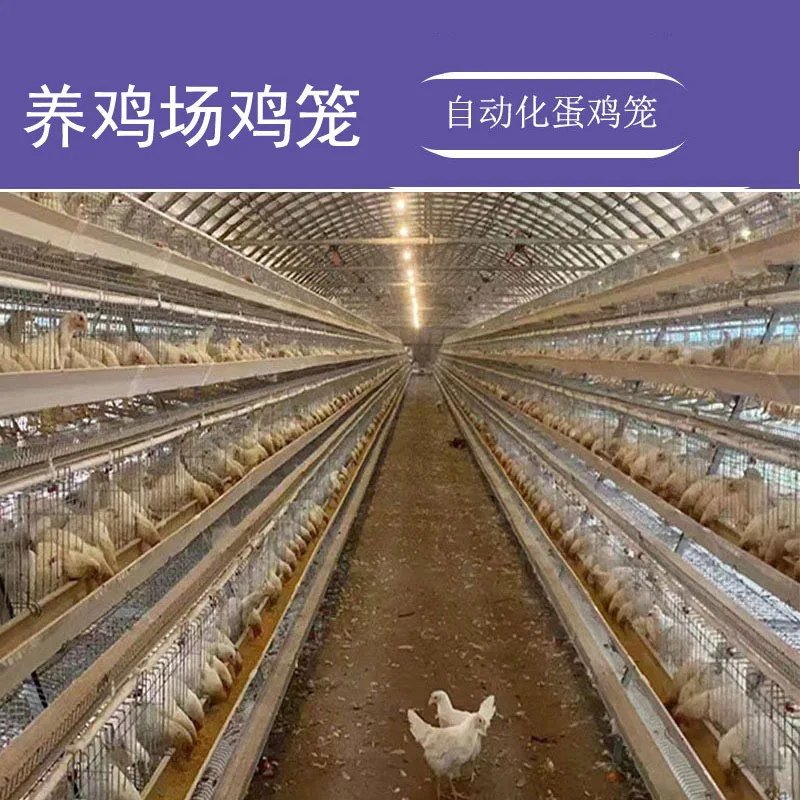 

Куриная клетка для разведения, автоматизированная клетка для курицы, трехслойная четырехслойная лестница, курятник, оцинкованная