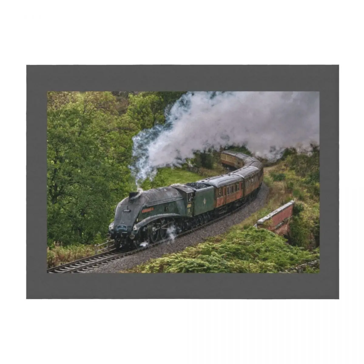 

60009 Union of South Africa in the Rain Throw Blanket Extra Large Throw Moving Plaid on the sofa Soft Blankets