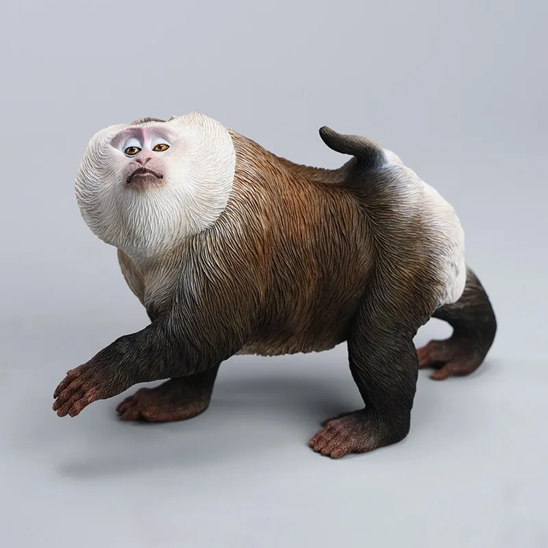 

Dolphin-tailed monkey, simulated animal, flat-topped monkey figure model, desktop resin ornament.