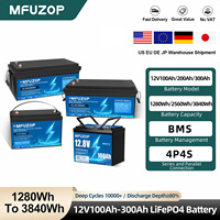 MFUZOP 1280Wh 2560Wh 3840Wh 5120Wh LiFePO4 Battery Discharge Depth ≥80% Support Series and Parallel 4P4S for Solar Storage RV