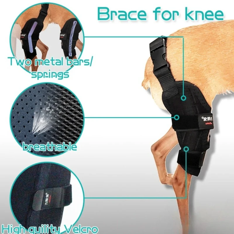

Dog Knee Brace for ACL Support Patella Dislocation Stabilizer Post-Surgery Leg Splint for Small Dogs Rear Leg Protection for Dog