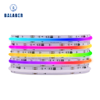 COB 720 576 SPI RGB IC LED Light Strip Ws2811 Addressable LEDs Dream Color DC12V 24V WS2812b High Flexible FOB FCOB Lights RA90