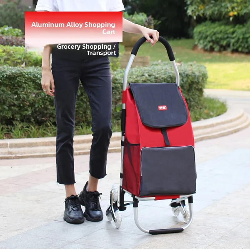 chariot-pliable-leger-a-double-couche-pour-legumes-petit-chariot-de-transport-domestique-avec-poignee-telescopique