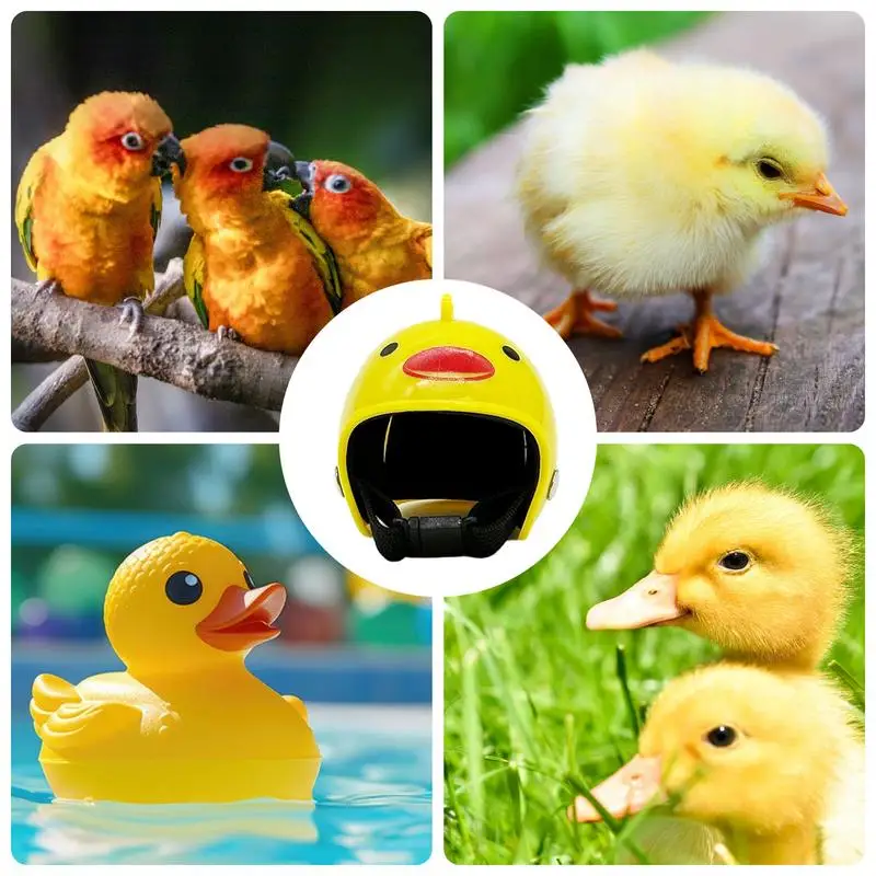 Chicken Hats MIni Chicken Safety Hat Adjustable Chicken Safety Hat Small Pet Hard Hat For Chicks Parakeets Parrots Birds Ducks