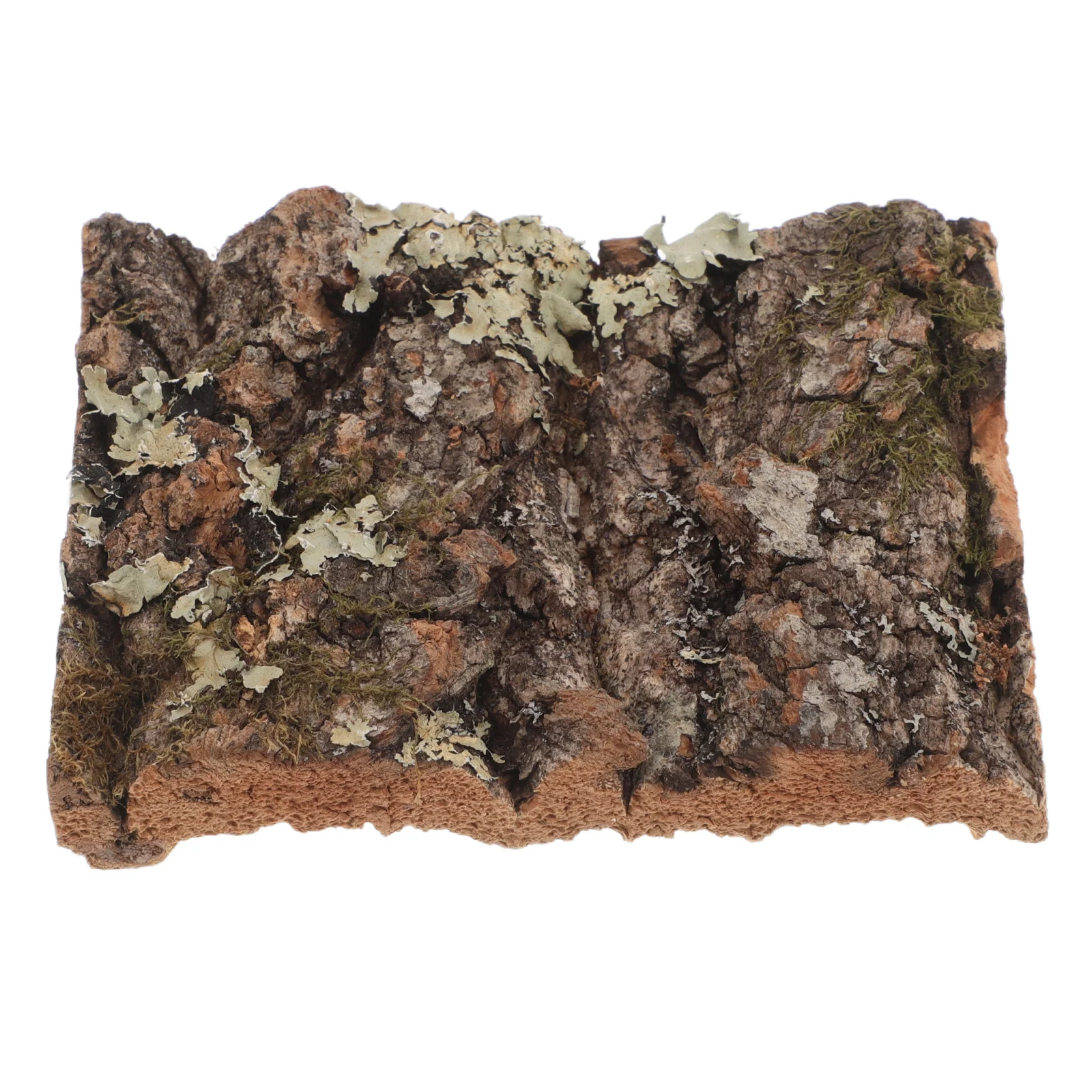 تنوعا الفلين النباح لتررم ديكور الزواحف خزان خلفية سحلية تسلق منصة ثعبان إخفاء حوض السمك جدار النبات