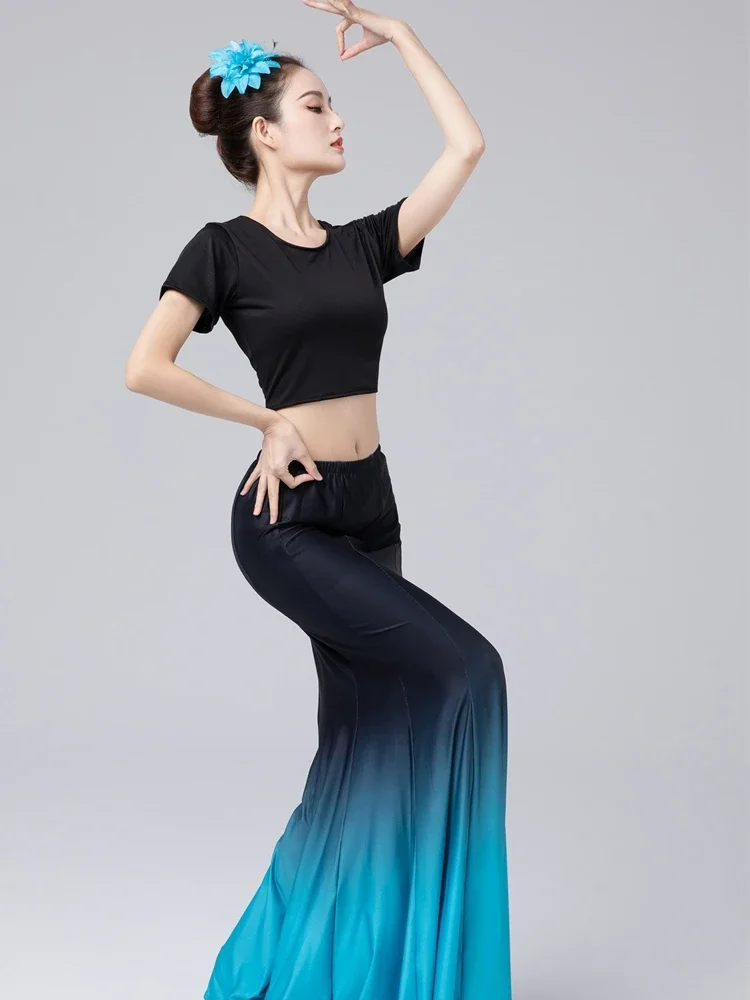 Minority Peacock Dance Costumes Dai Dance Dresses Traditional Folk Peacock Fishtail Skirt Wrap Hip Stage Performance Clothing