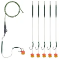 Model B 6Pcs
