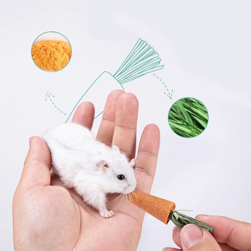 Hamster Treat Rabbit Chew Toy Animal Chew Carrots Natural Nutrient Molar Toy