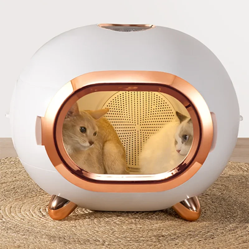 Intelligence Automa… - image