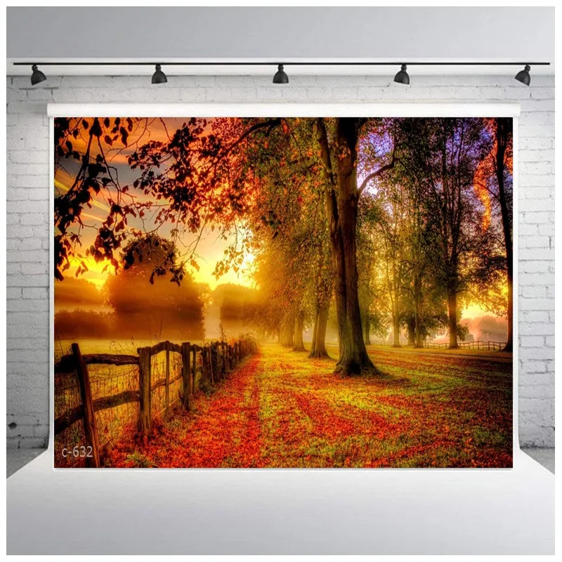 

3X1.8m scene landscape photography background cloth hanging cloth tapestry 3D live streaming host background cloth