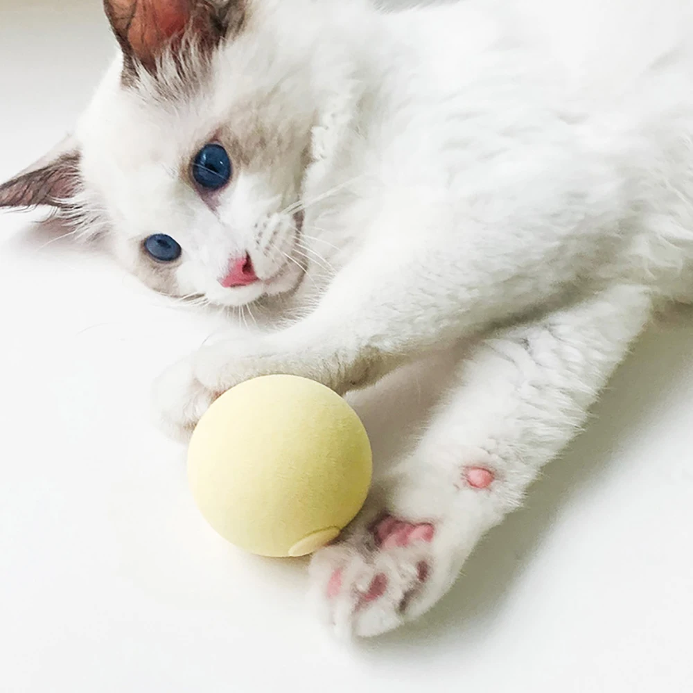 Cat Ball Toys Smart Dog Toys Interactive for Cats Training Kitten Puppy Toys for Indoor Play