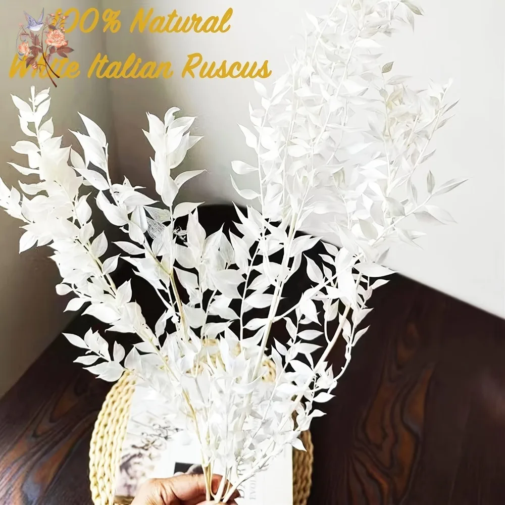 Feuilles de Ruscus blanches, fleurs séchées, décor de mariage de noël, feuilles d'eucalyptus conservées, Vases de Table nordiques pour la maison, arrangements de bricolage, 40g