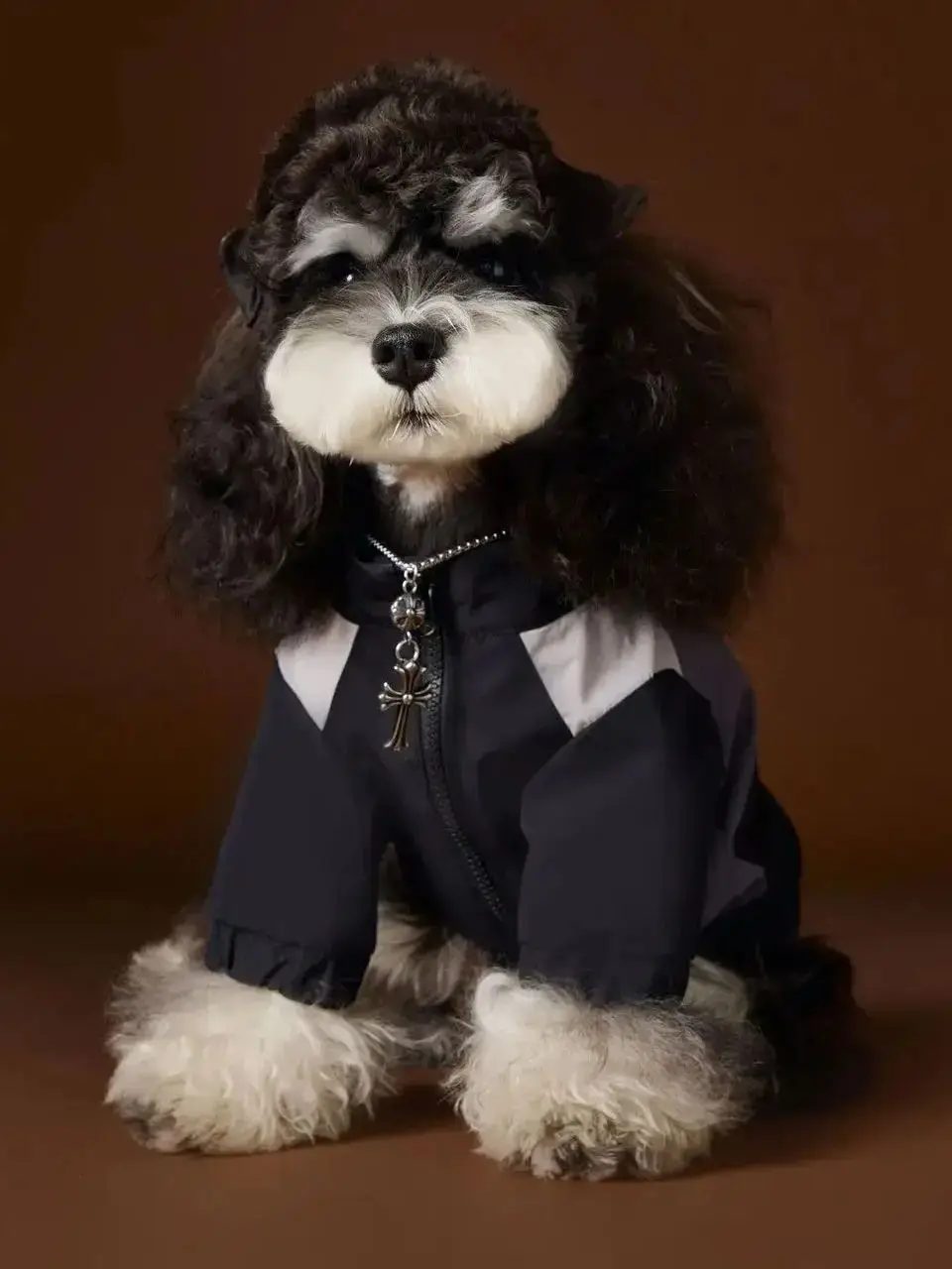 

Korean Stylish And Handsome Fall And Winter Pet Coat Hiking Suit For Small Dogs Sports Outfit Puppies Clothes