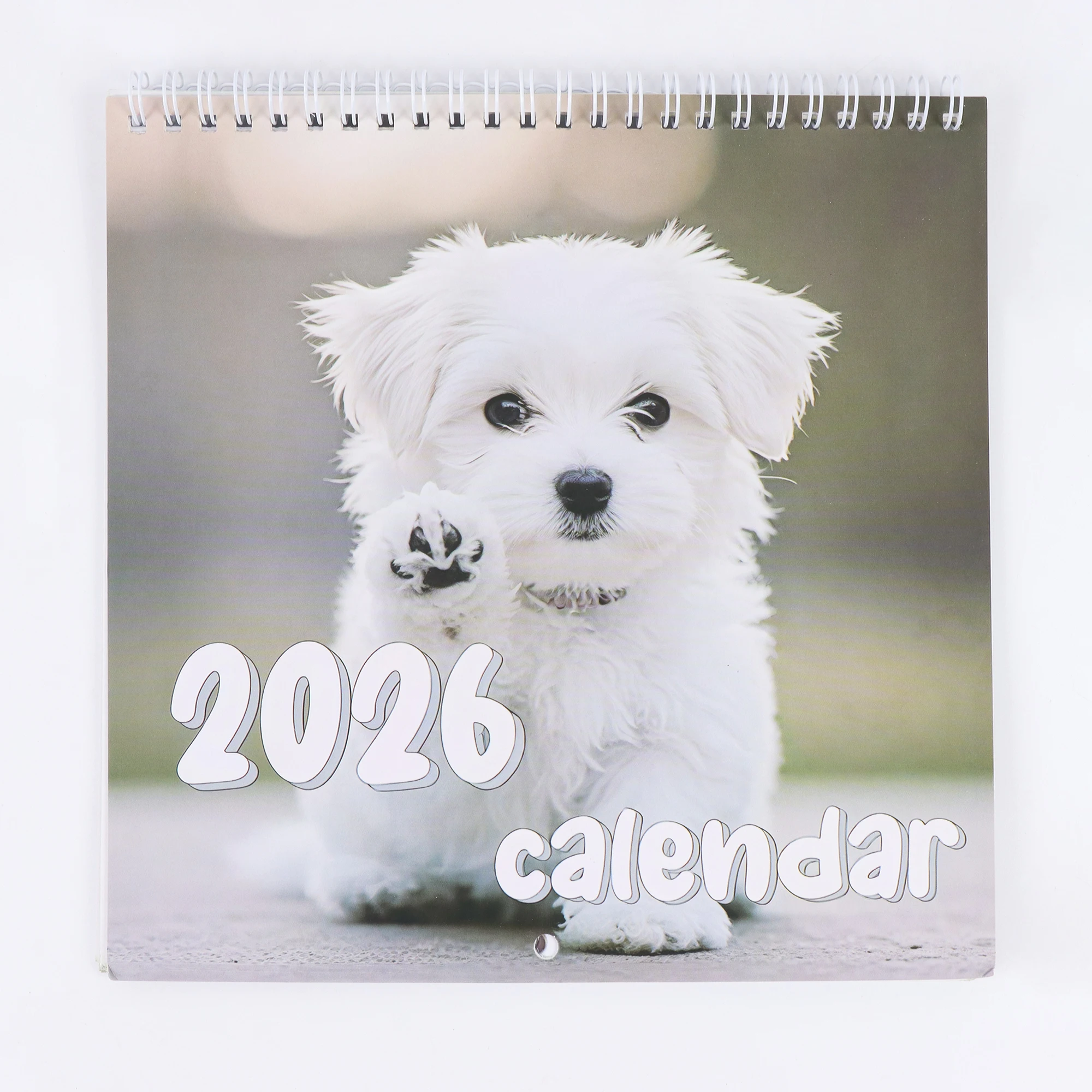 

2026 Super Cute Dog Wall Calendar - Vibrant illustrations, upright design for easy viewing, ideal student gift