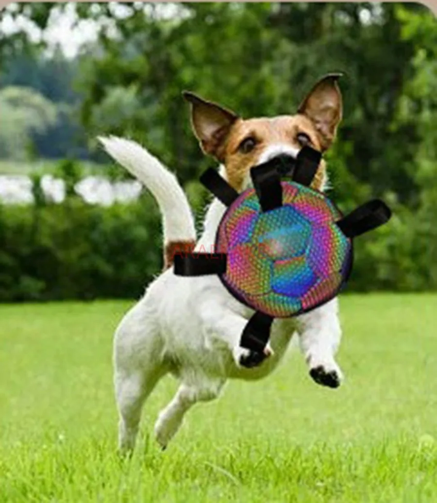 1PCS Dog toys, luminous reflective balls, pet interactive soccer, nighttime dog walking training, bite and grind resistance view 3