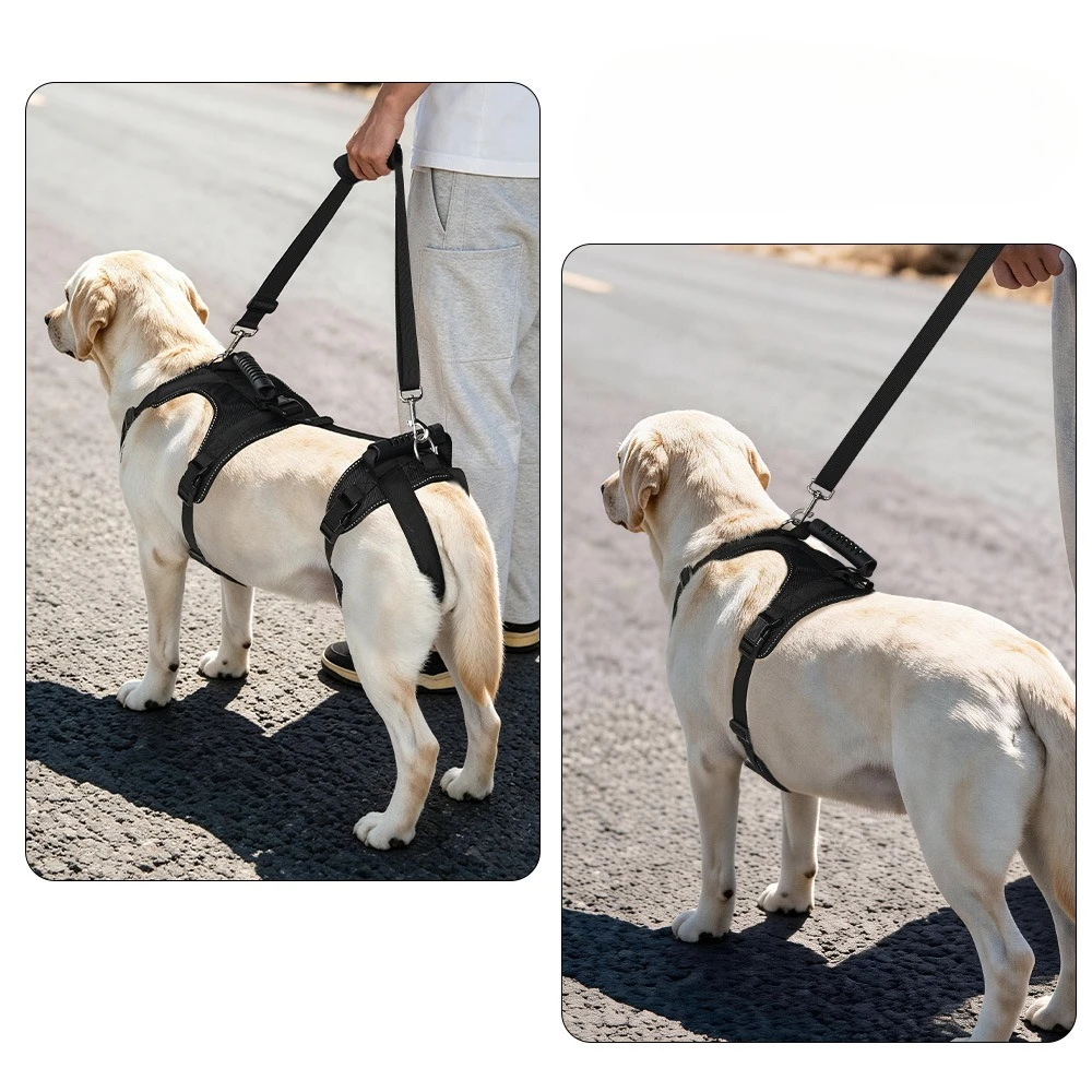 Dog Lift Harness for Senior Dogs, Full Body Support Sling, Adjustable Pet Lift Harness for Arthritis, Hip Dysplasia - Reflective