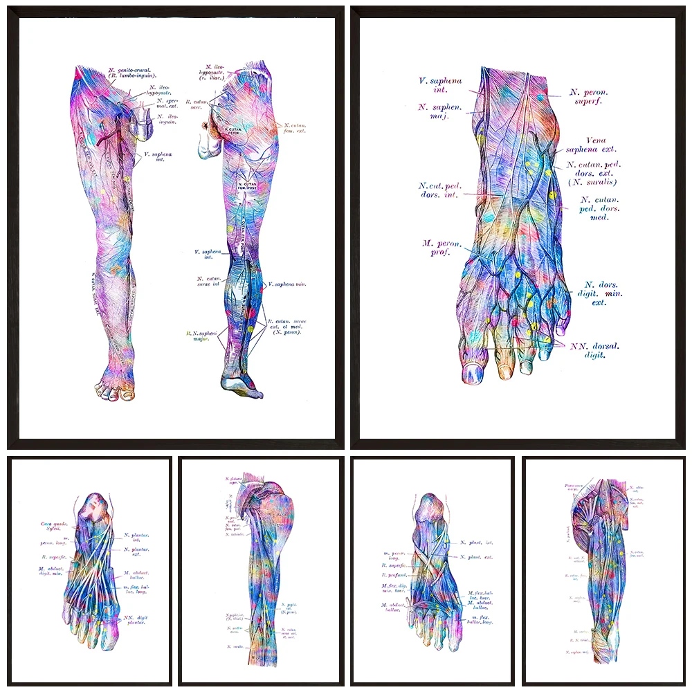 

Illustration Girl Dog Cat Faithful Friends Poster Wall Art Canvas Painting Home Decor Wall Pictures For Living Room Unframed