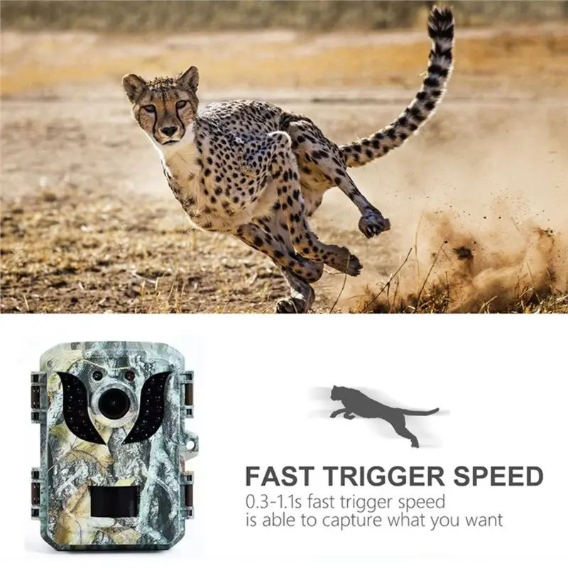 【VALUE MONEY】Infrared Night Vision Motion Activated Photo 16MP 1080P Hunting Camera Outdoor Trail Camera Animal Observation Cam